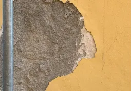La scrostatura da cui è nata la creazione